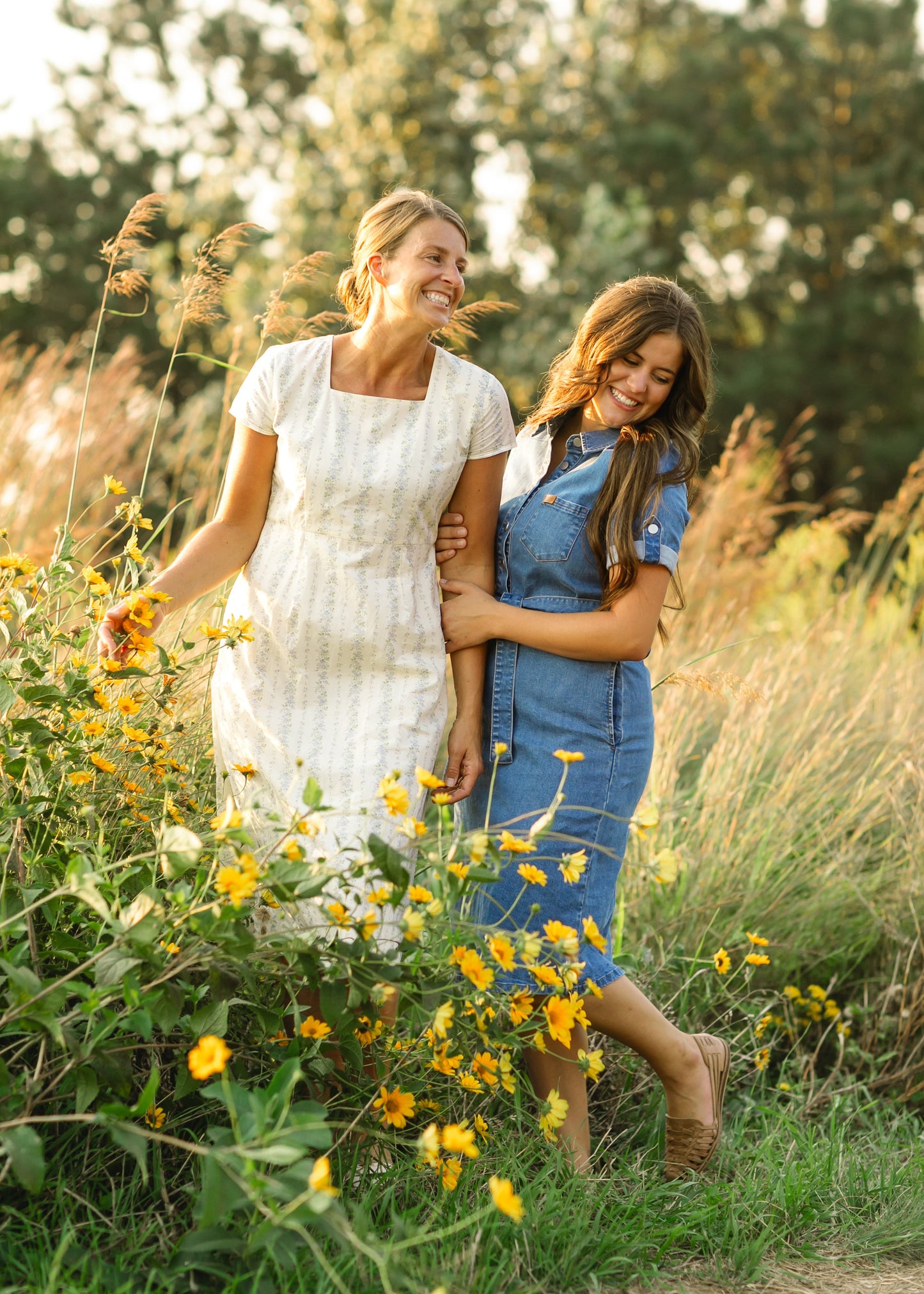 Ada Denim Midi Dress IC Dresses