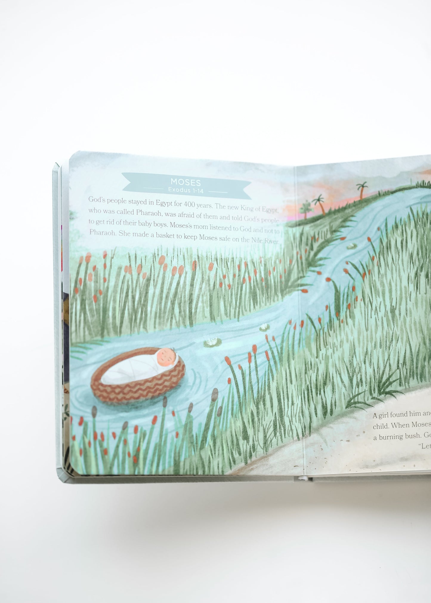 Baby's First Bible Stories Board Book Gifts