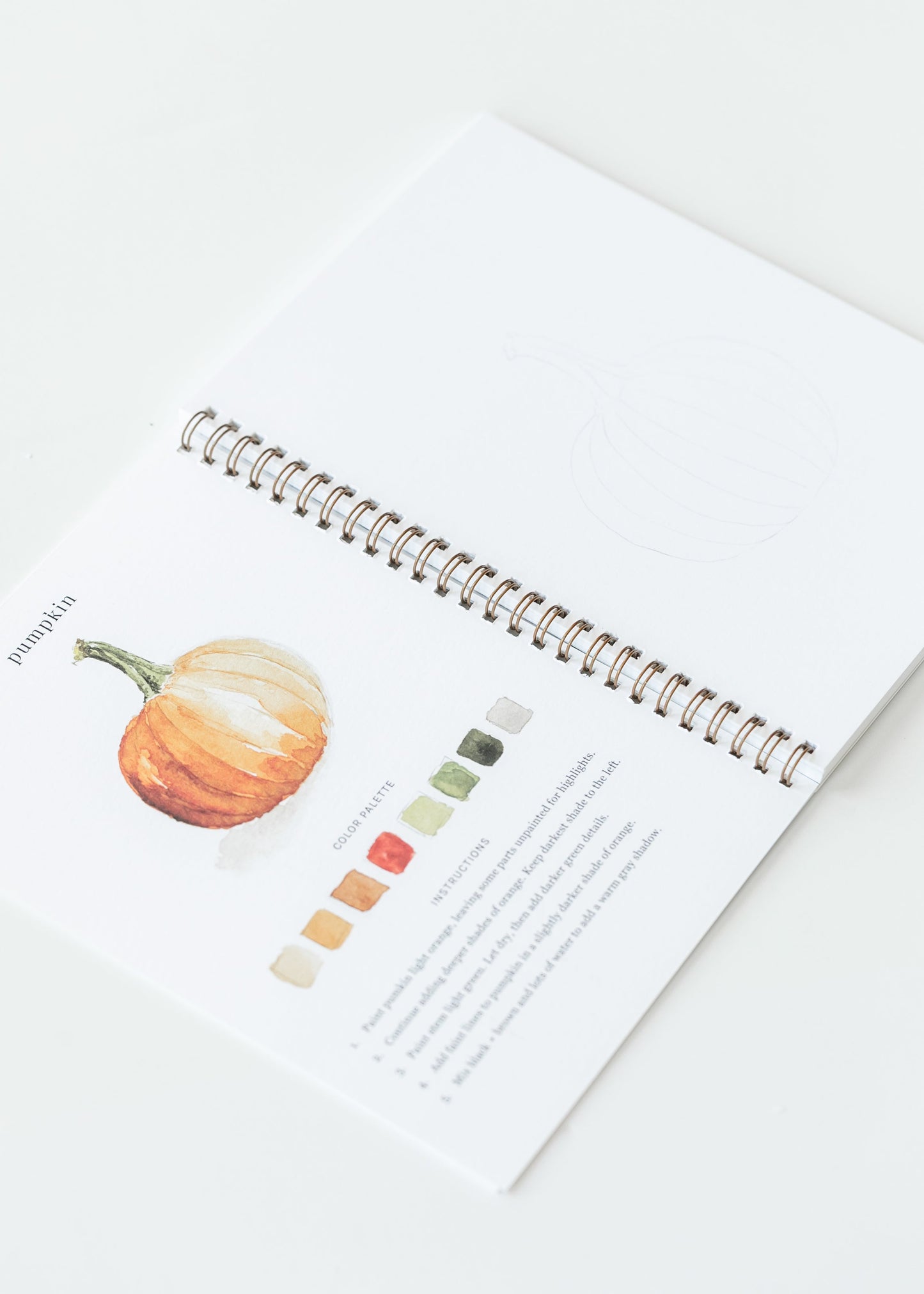 Emily Lex Studio Autumn Watercolor Workbook Gifts