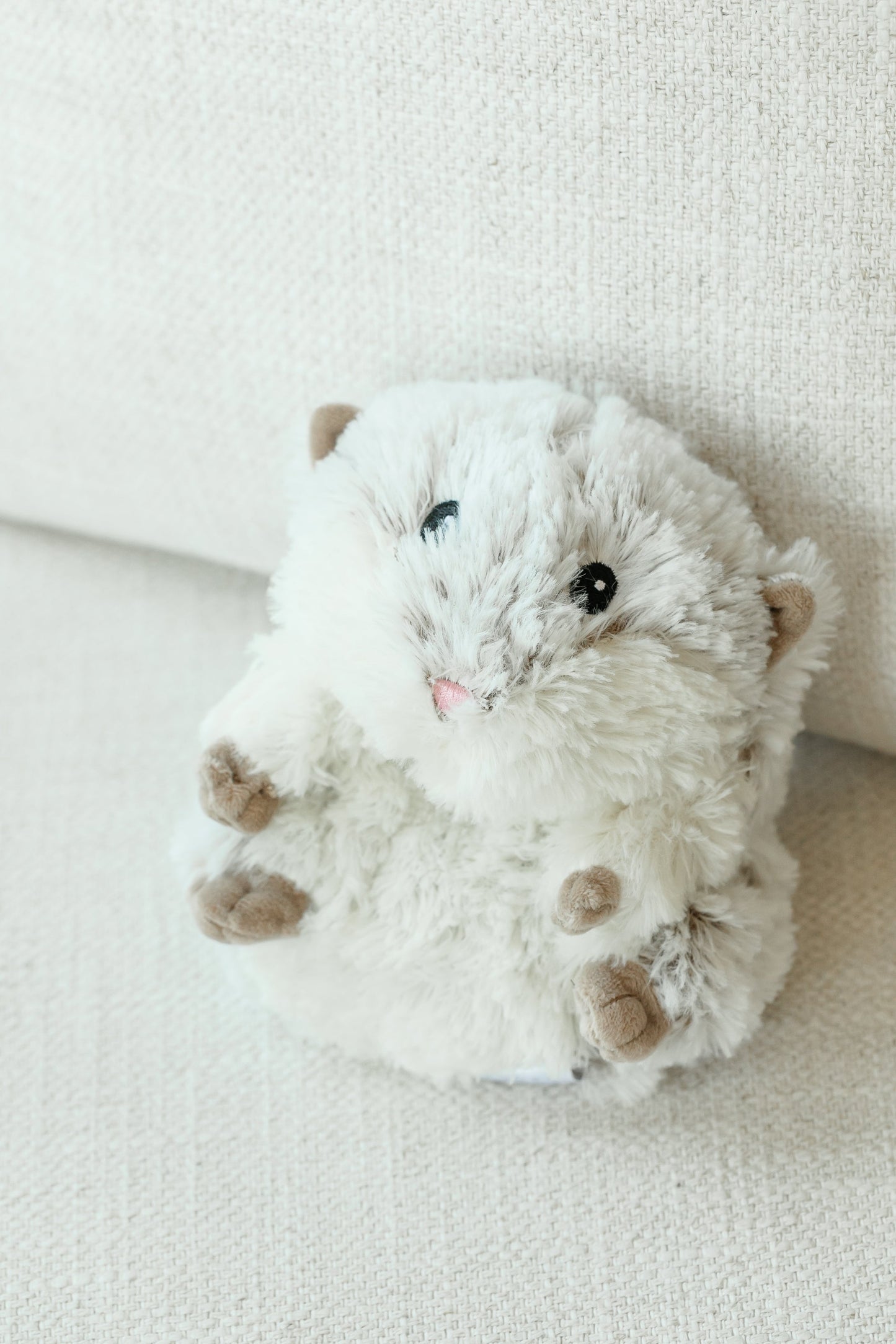Hamster Warmies Junior Gifts