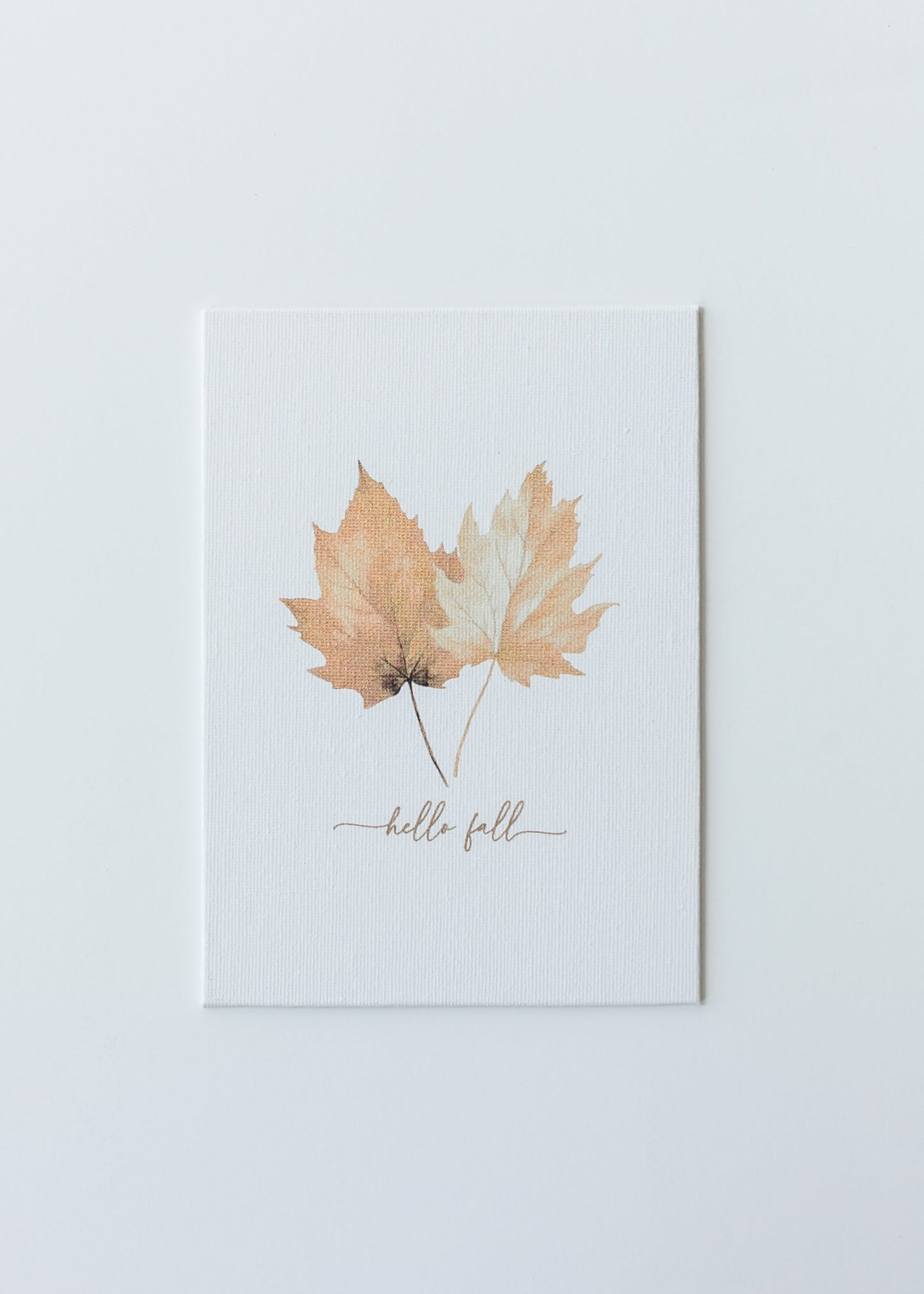 Hello Fall Leaves Art Print Gifts