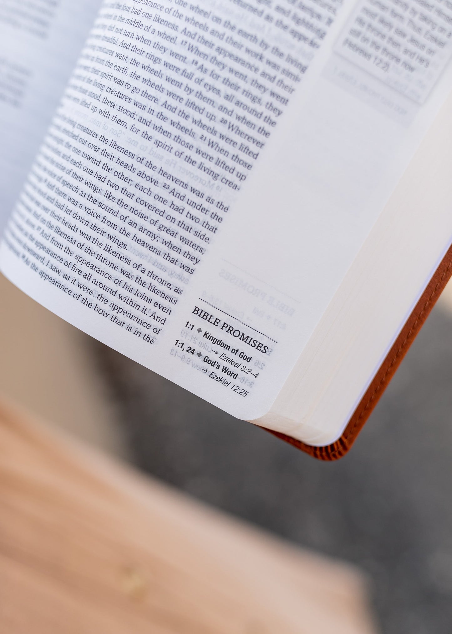 KJV Simplified Bible Promise Book Edition Gifts