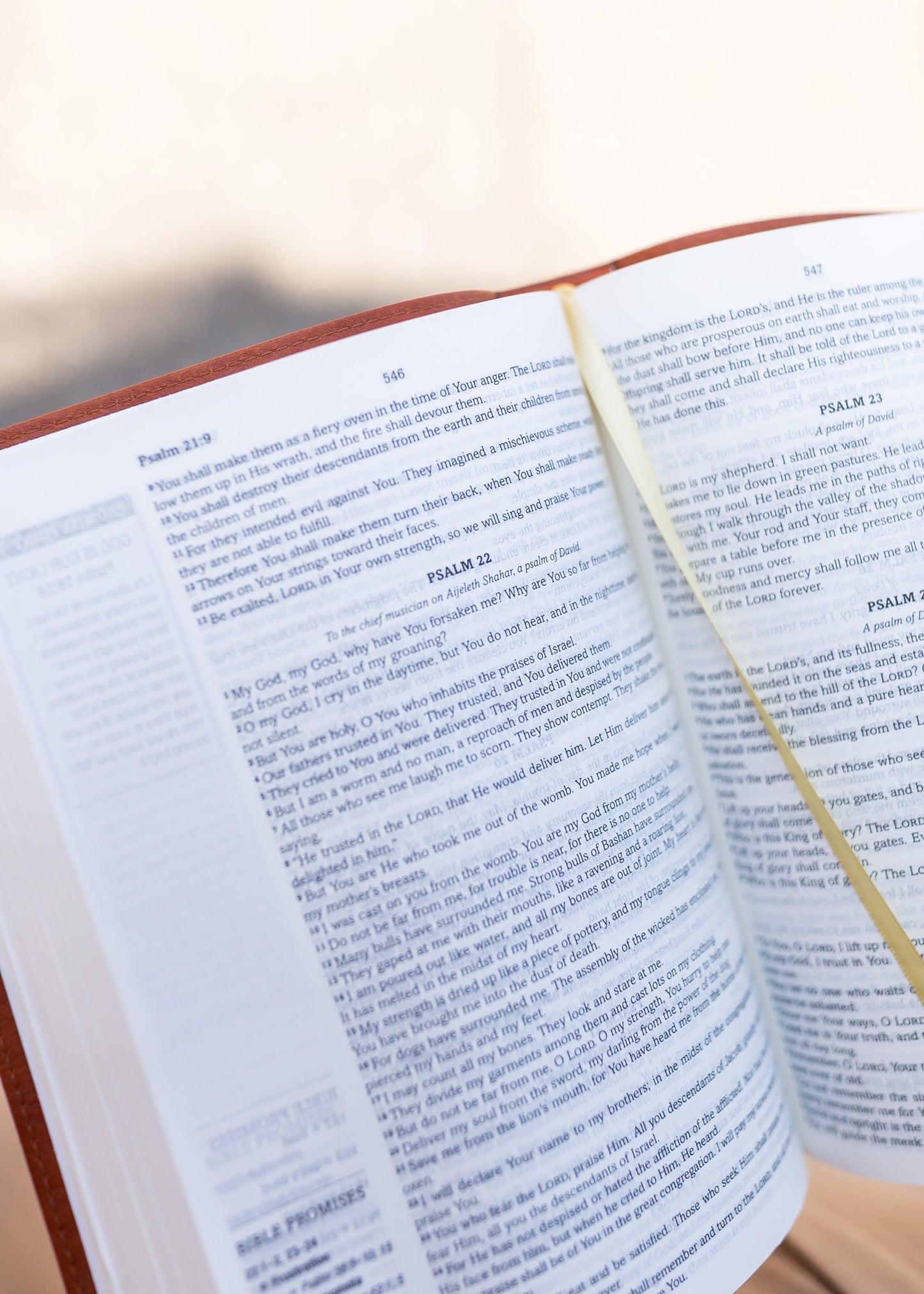 KJV Simplified Bible Promise Book Edition Gifts