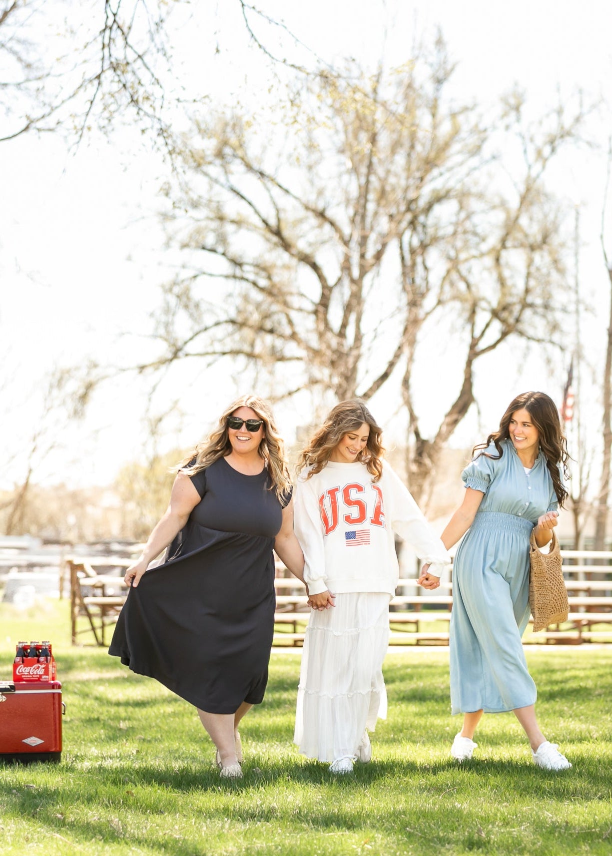 Olivia A-line Solid Midi Dress IC Dresses