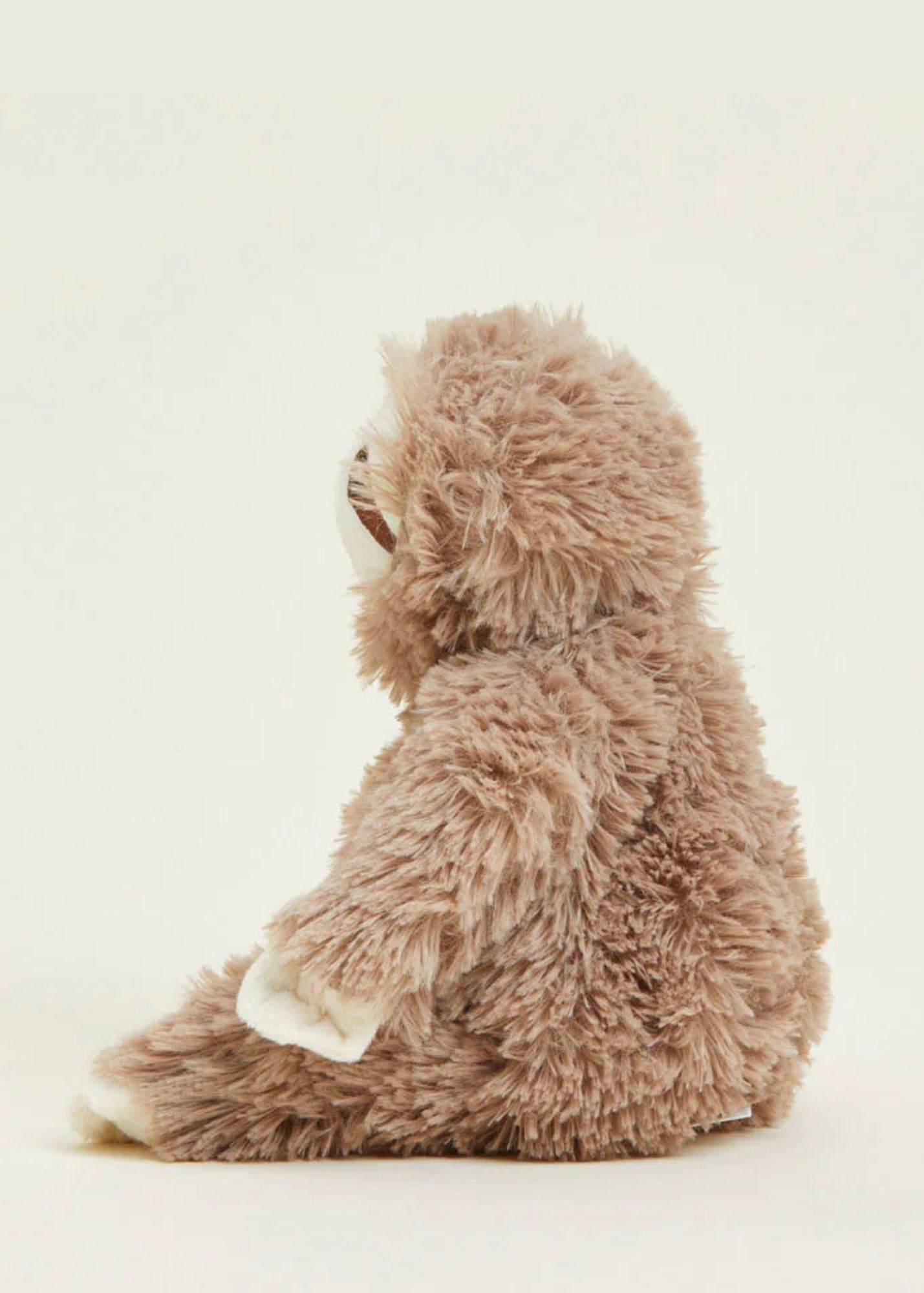 Sloth Junior Warmies Gifts