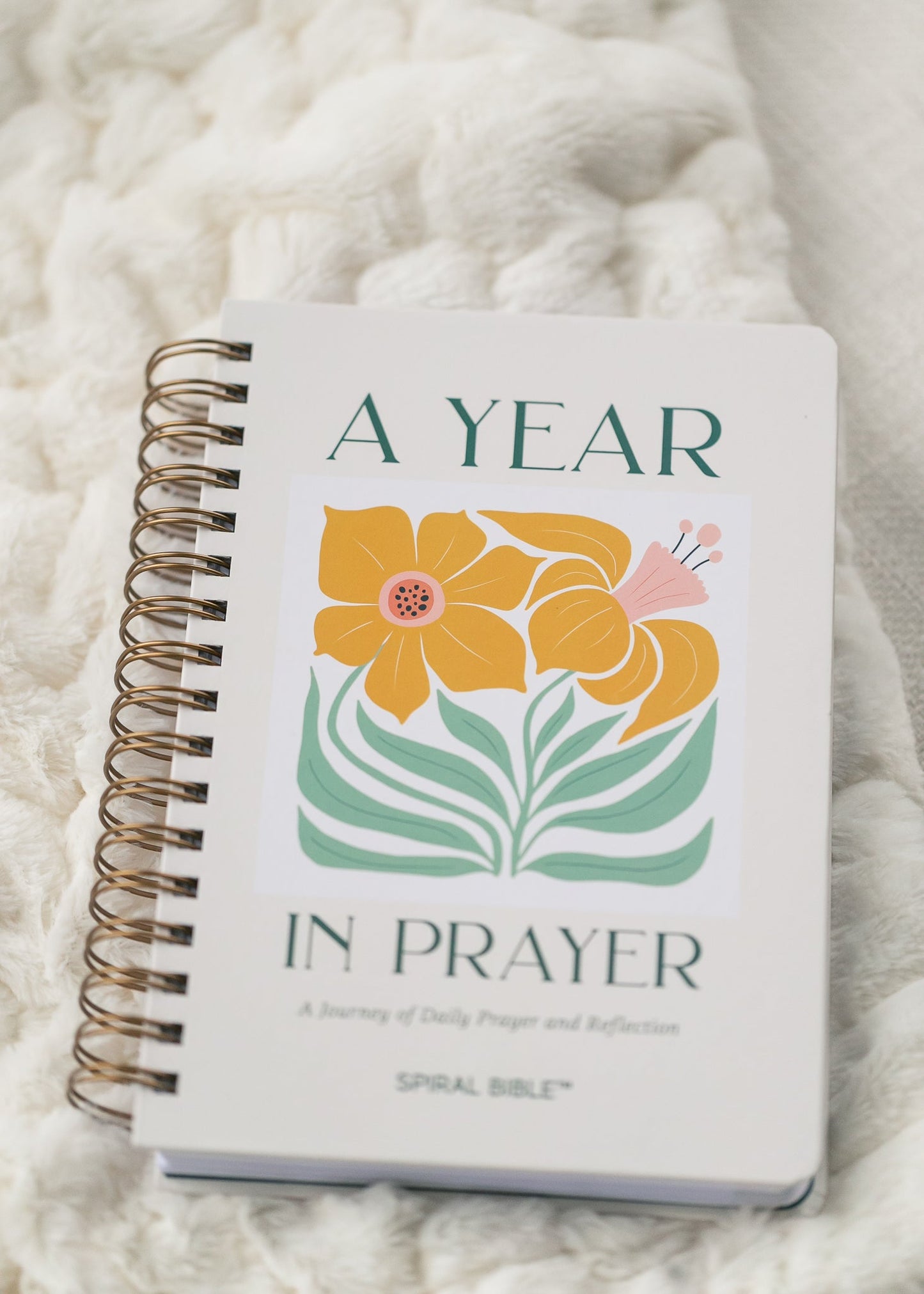 Spiral Bible™ A Year In Prayer: A Journey of Daily Prayer and Reflection Gifts