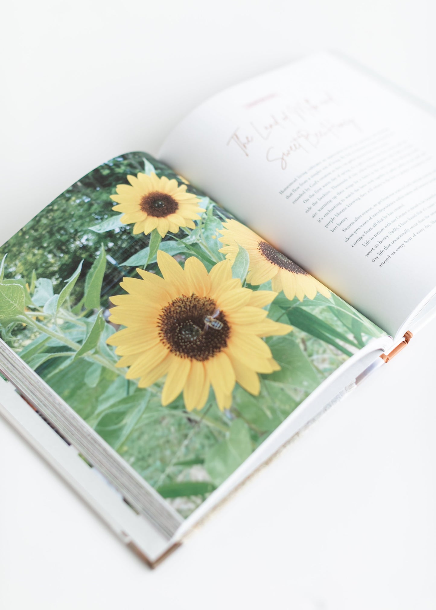 The Grace-Filled Homestead Book Gifts