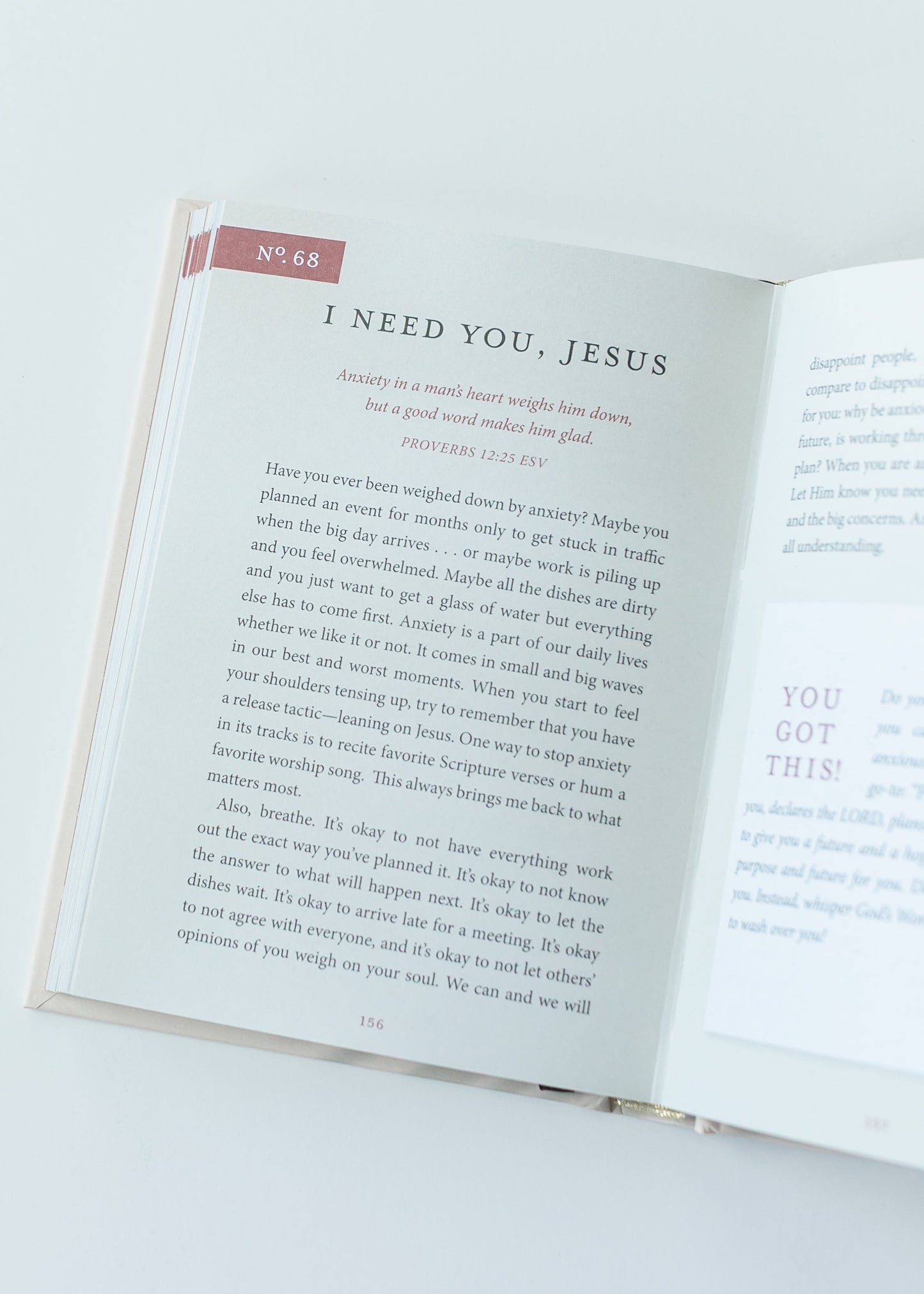 You Got This: 90 Devotions FF Home + Lifestyle