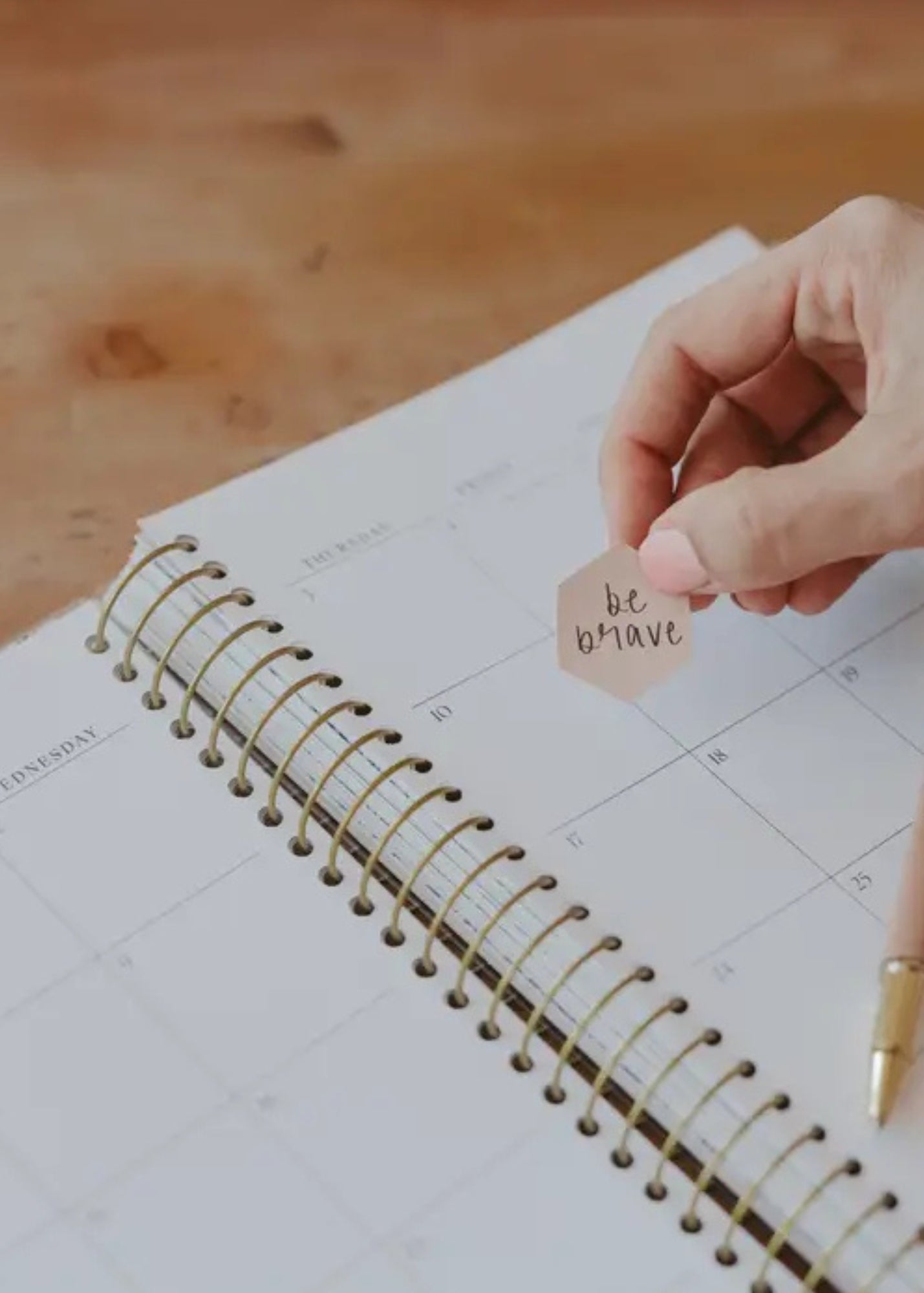 You Have A Purpose 2025-2026 18 Month Planner Gifts