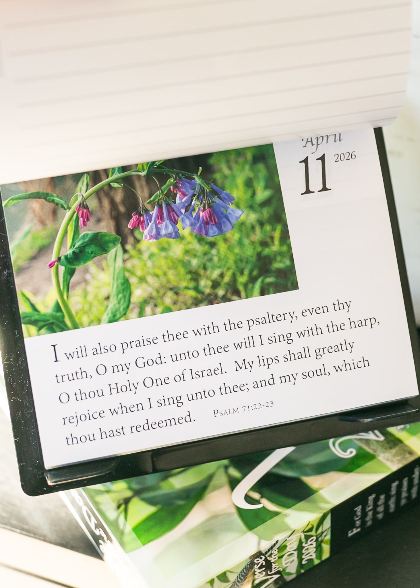 2026 KJV Verse of the Day Calendar Accessories