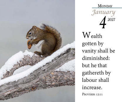 2027 KJV calendar page with squirrel in snow and Proverbs 13:11.