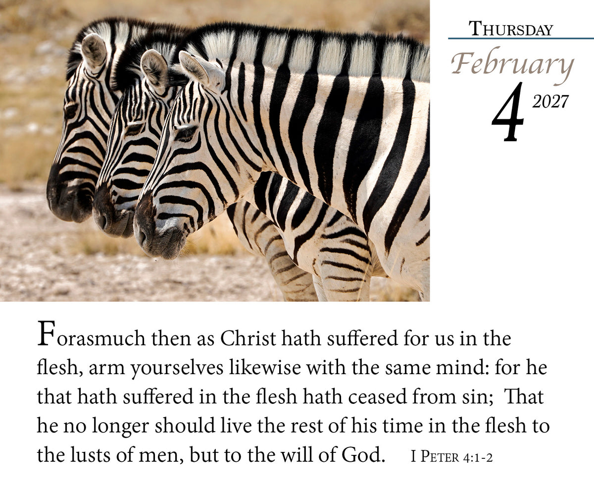 2027 KJV Verse of the Day Calendar page with zebras and 1 Peter 4:1-2.