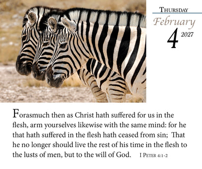 2027 KJV Verse of the Day Calendar page with zebras and 1 Peter 4:1-2.