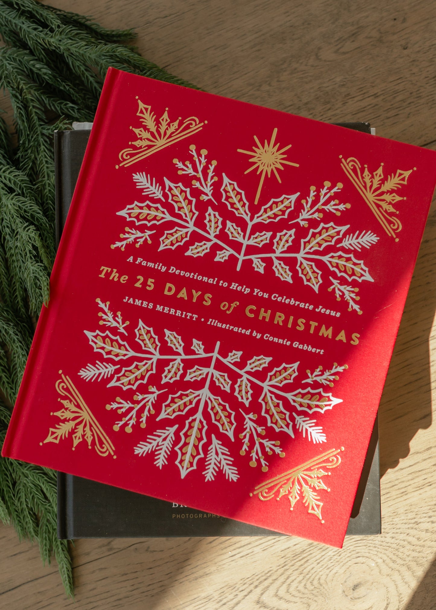 25 Days of Christmas Advent Devotional Gifts