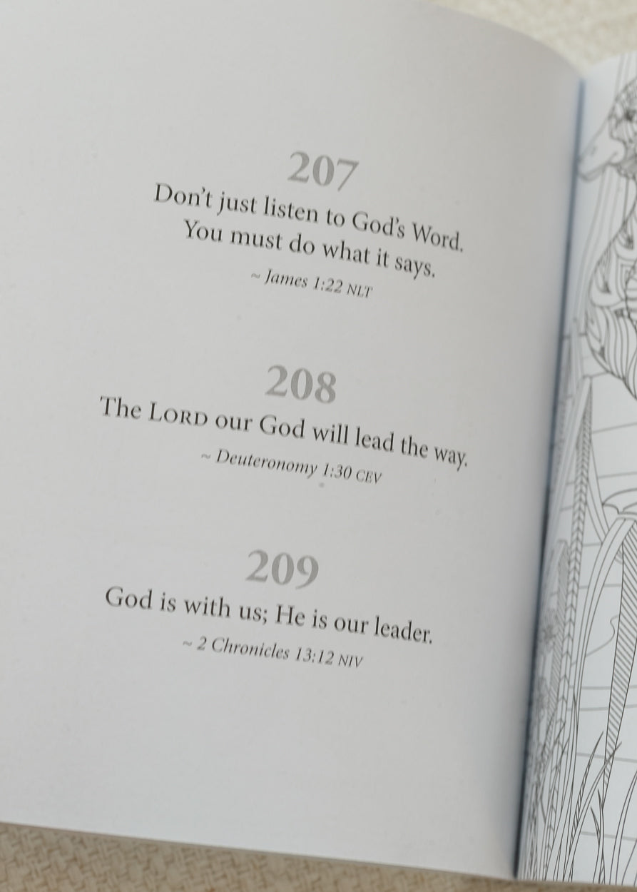 365 Promises from God to Color