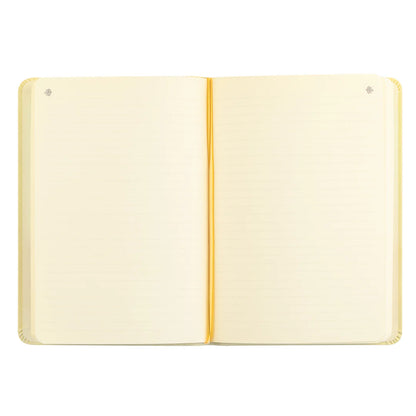 Belfast notebook opening pages with a gold daffodil sketch, a date started prompt, and a "the notebook of" nameplate.