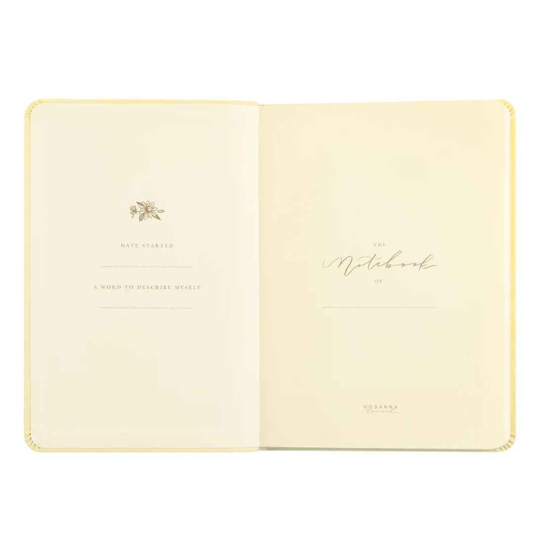 Belfast notebook opening pages with a gold daffodil sketch, a date started prompt, and a "the notebook of" nameplate.