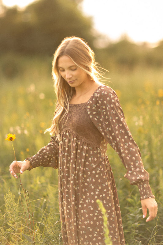 Elise Brown Lace Bodice Maxi Dress
