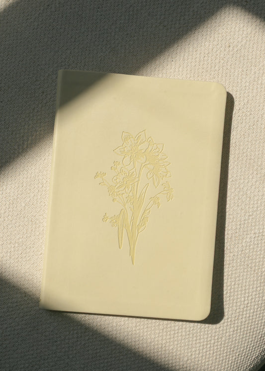 Hosanna Revival Notebook Belfast Theme