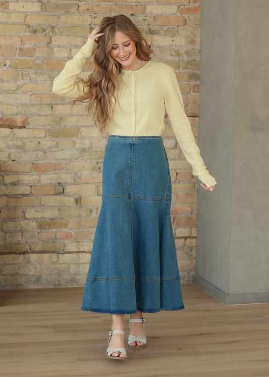 Cross Stitch A line Denim Skirt