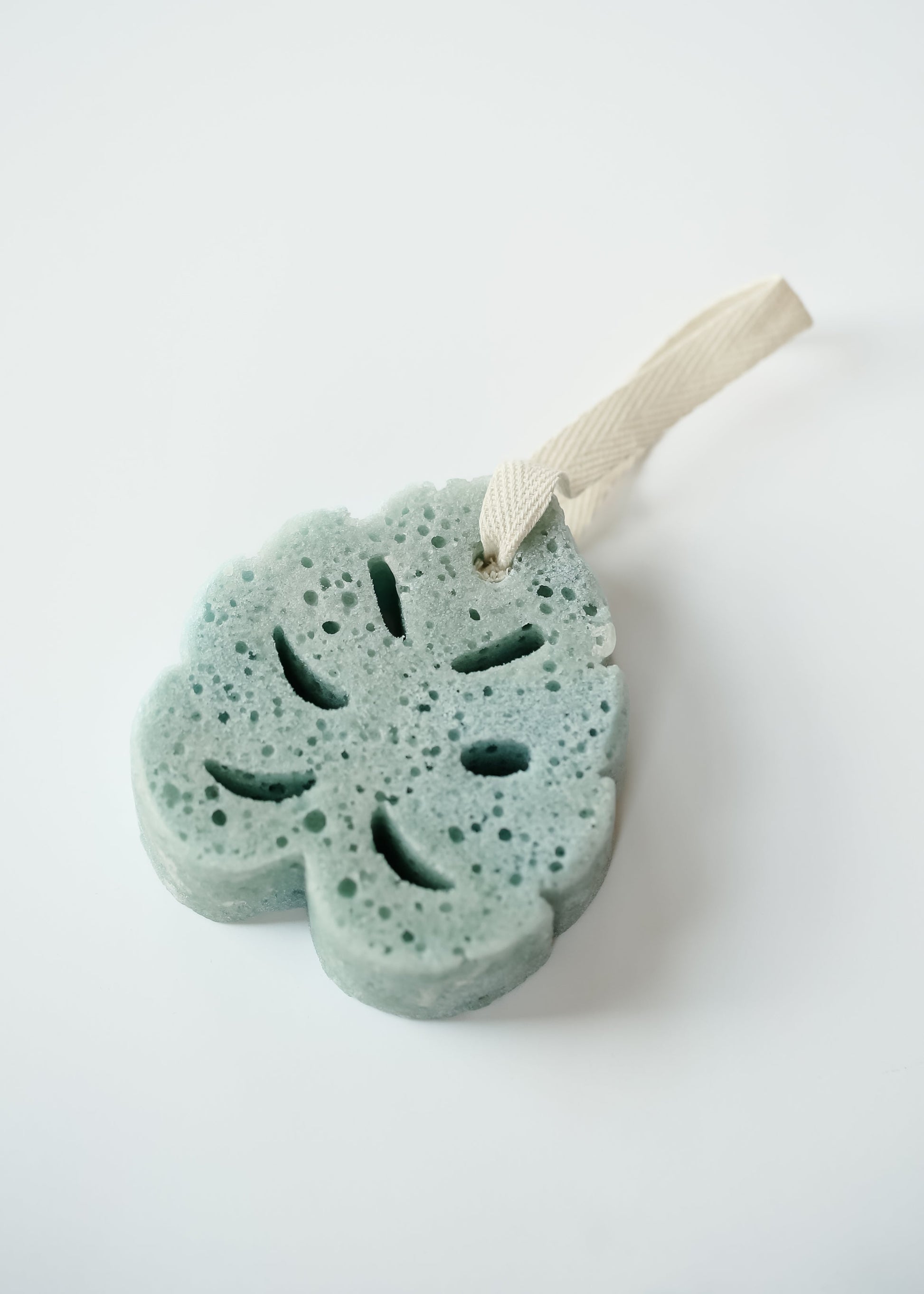 Aloe Super Sudsy Soap Sponge FF Home + Lifestyle