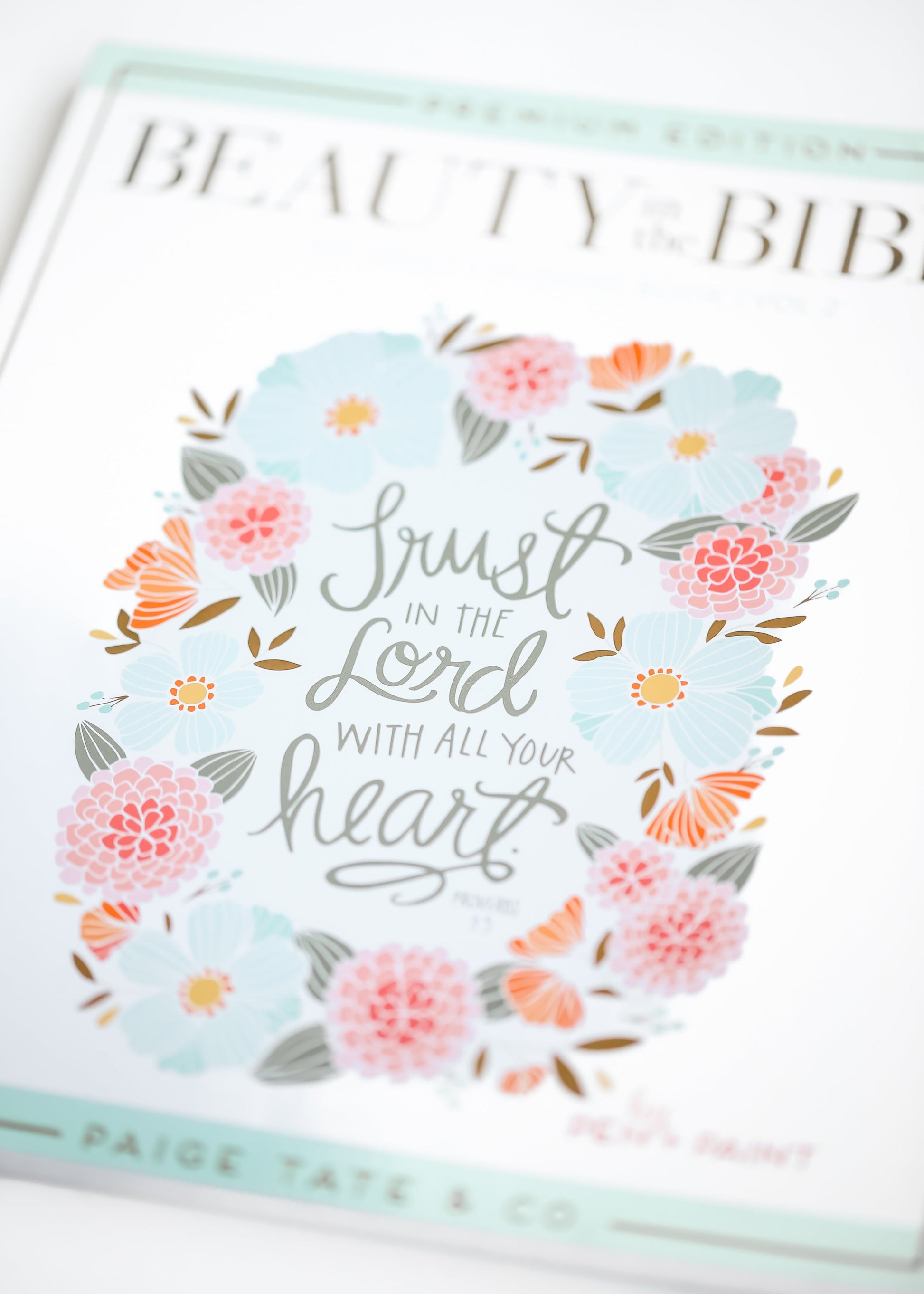 Beauty In the Bible Christian Coloring Book Gifts