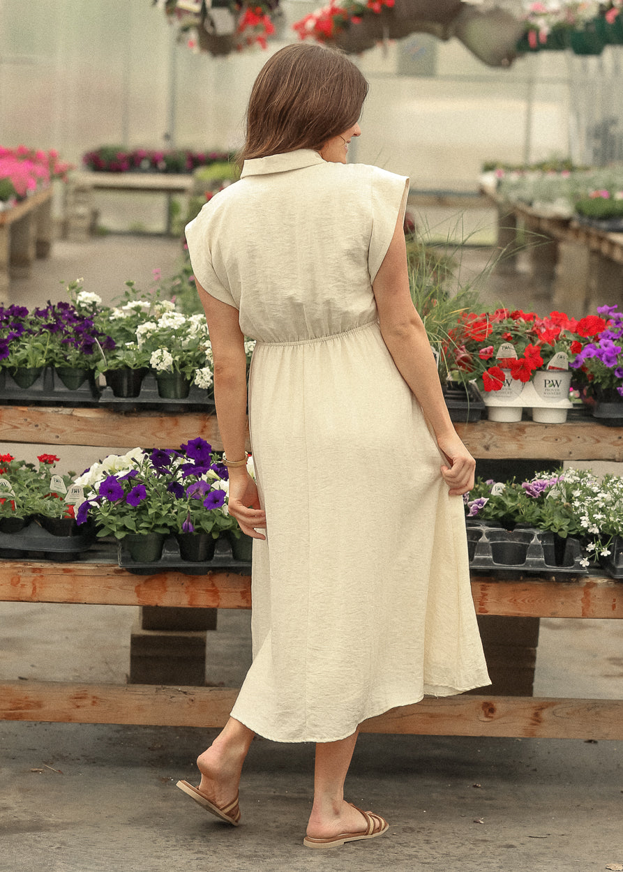 Box Pleat Collar Shirt Maxi Dress FF Dresses