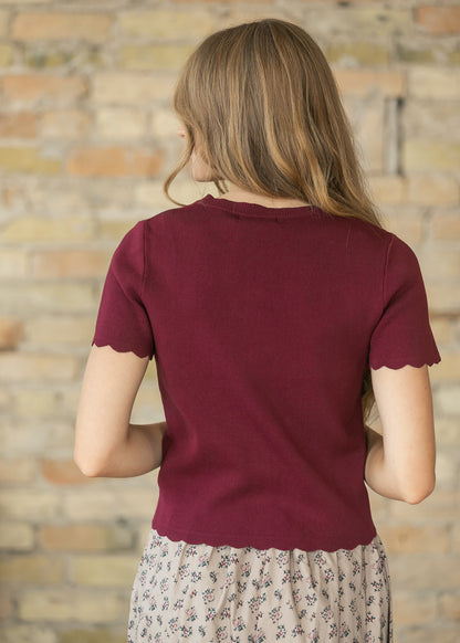 Burgundy Scalloped Short Sleeve Button Knit Cardigan FF Layering Essentials