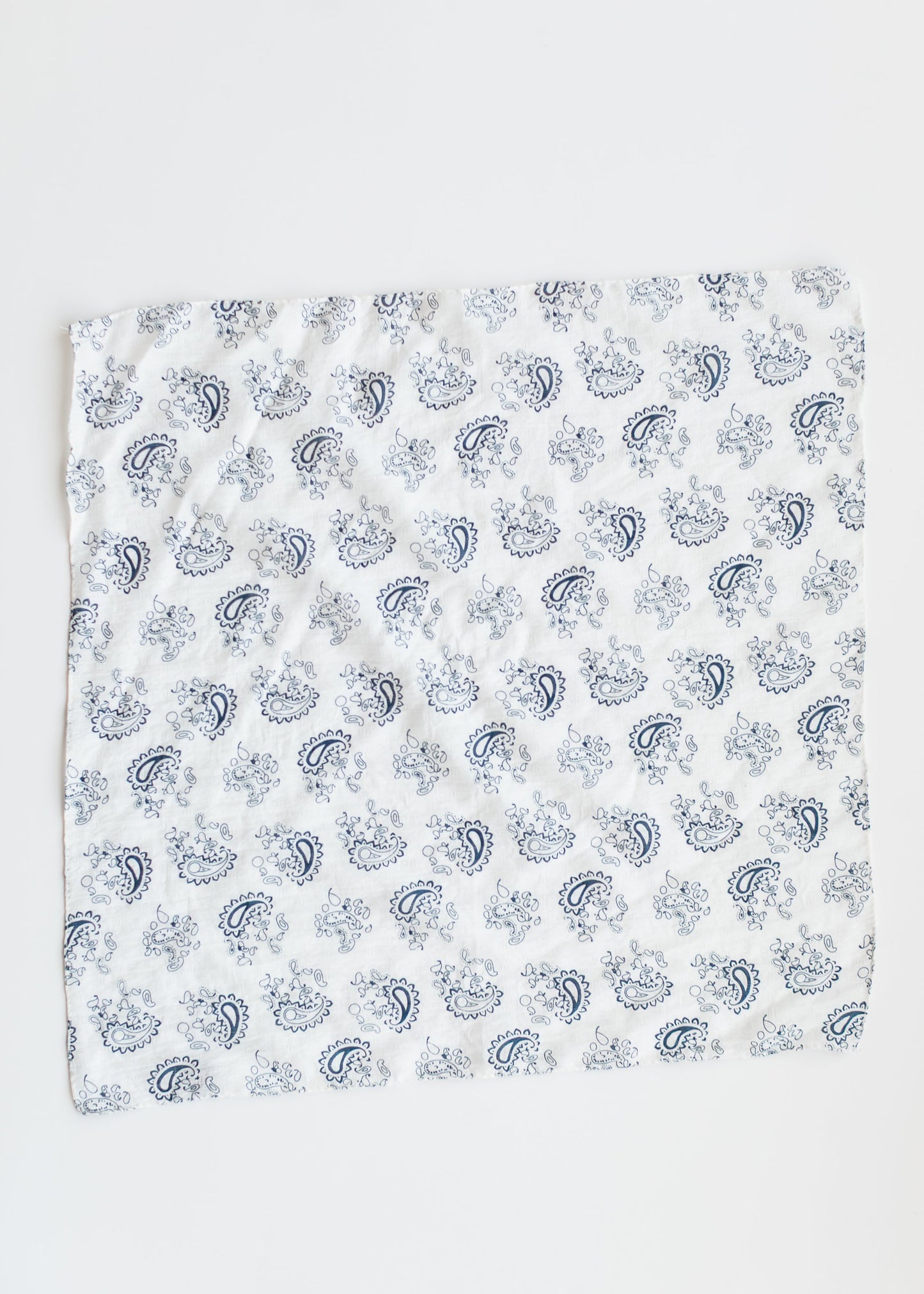 Classic Blue Paisley Bandana Accessories