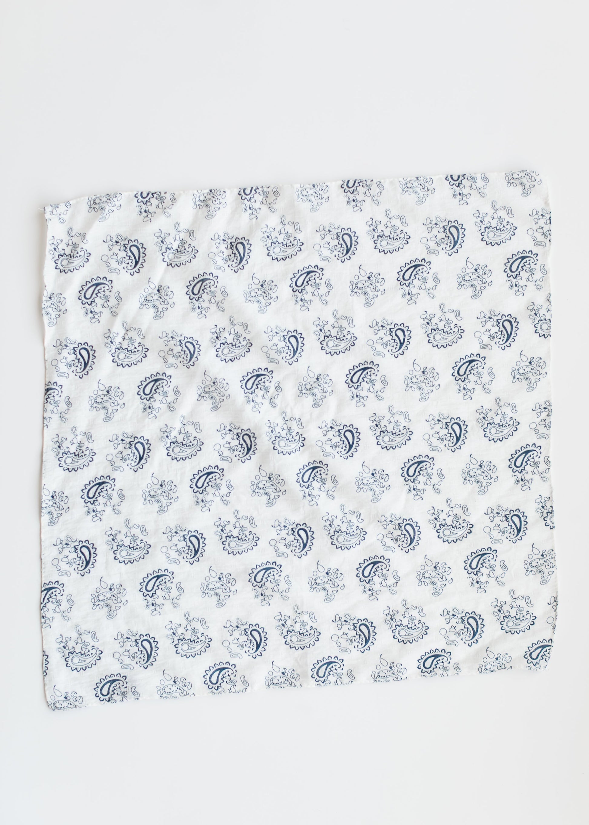 Classic Blue Paisley Bandana Accessories