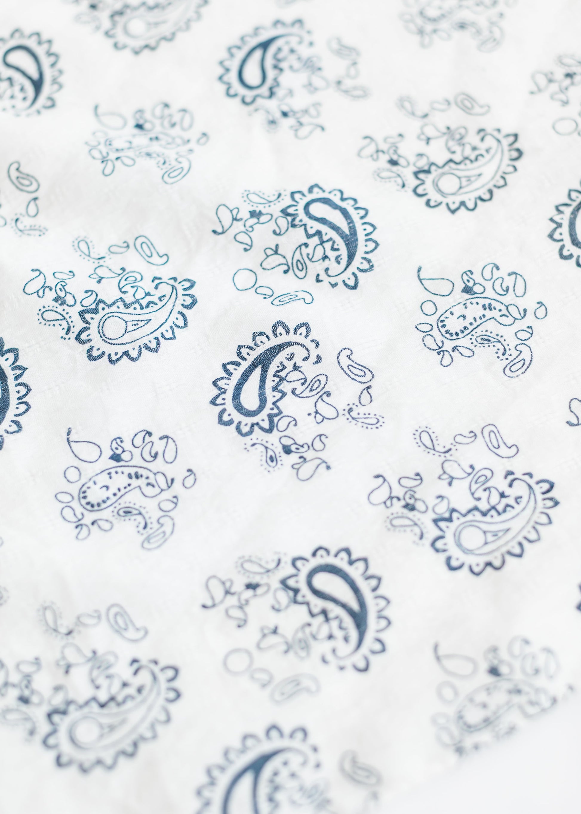 Classic Blue Paisley Bandana Accessories