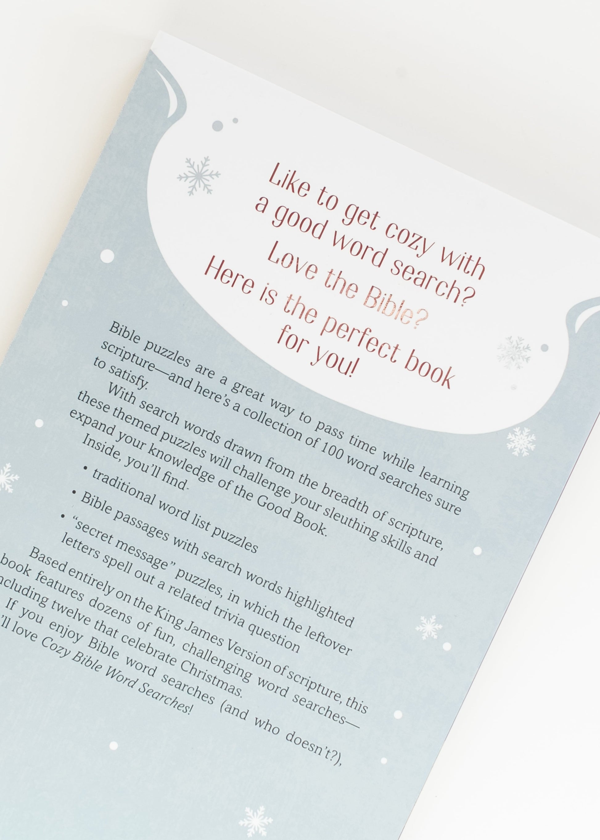 Cozy Bible Word Searches Gifts