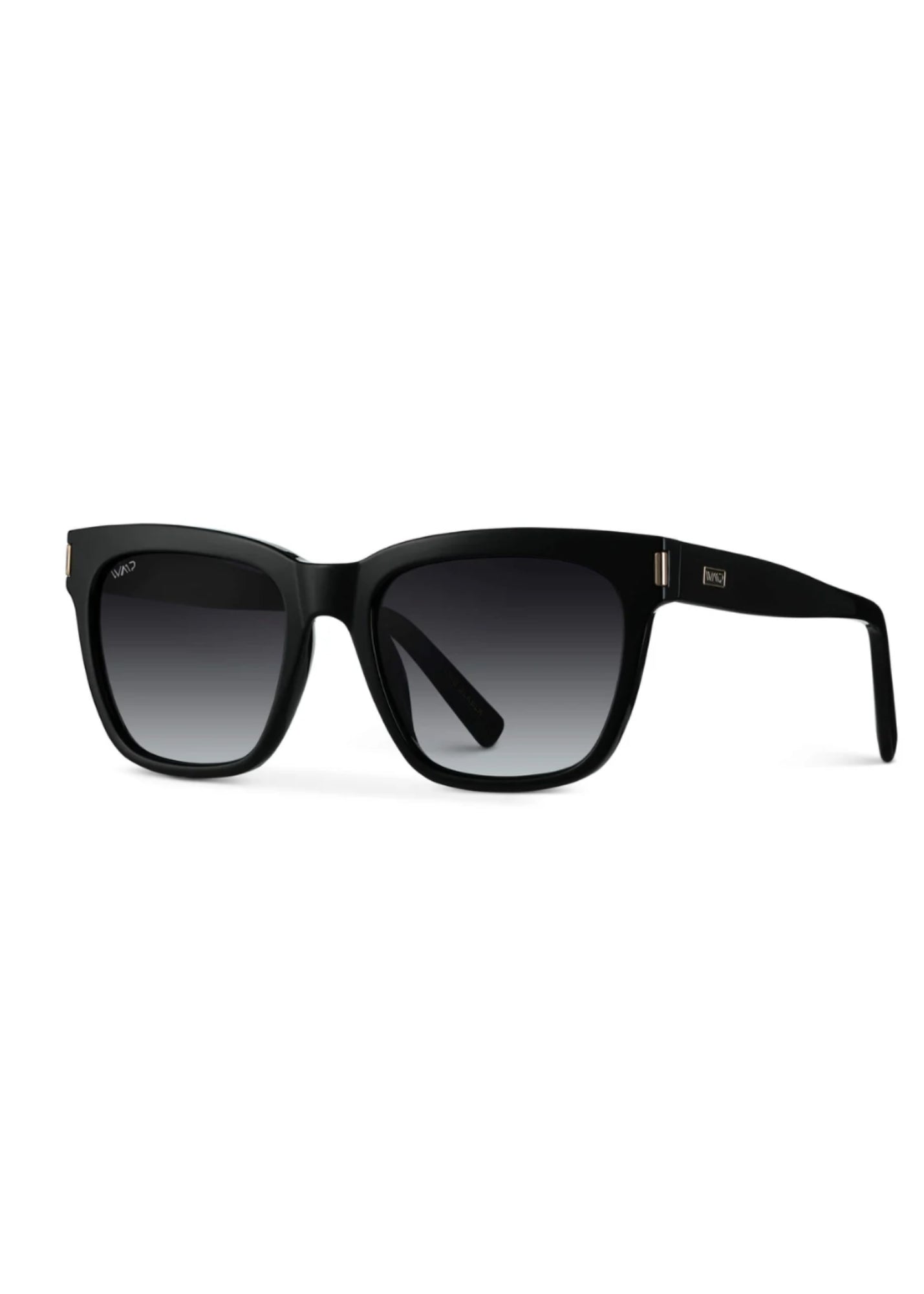 Dakota Square Polarized Sunglasses Accessories