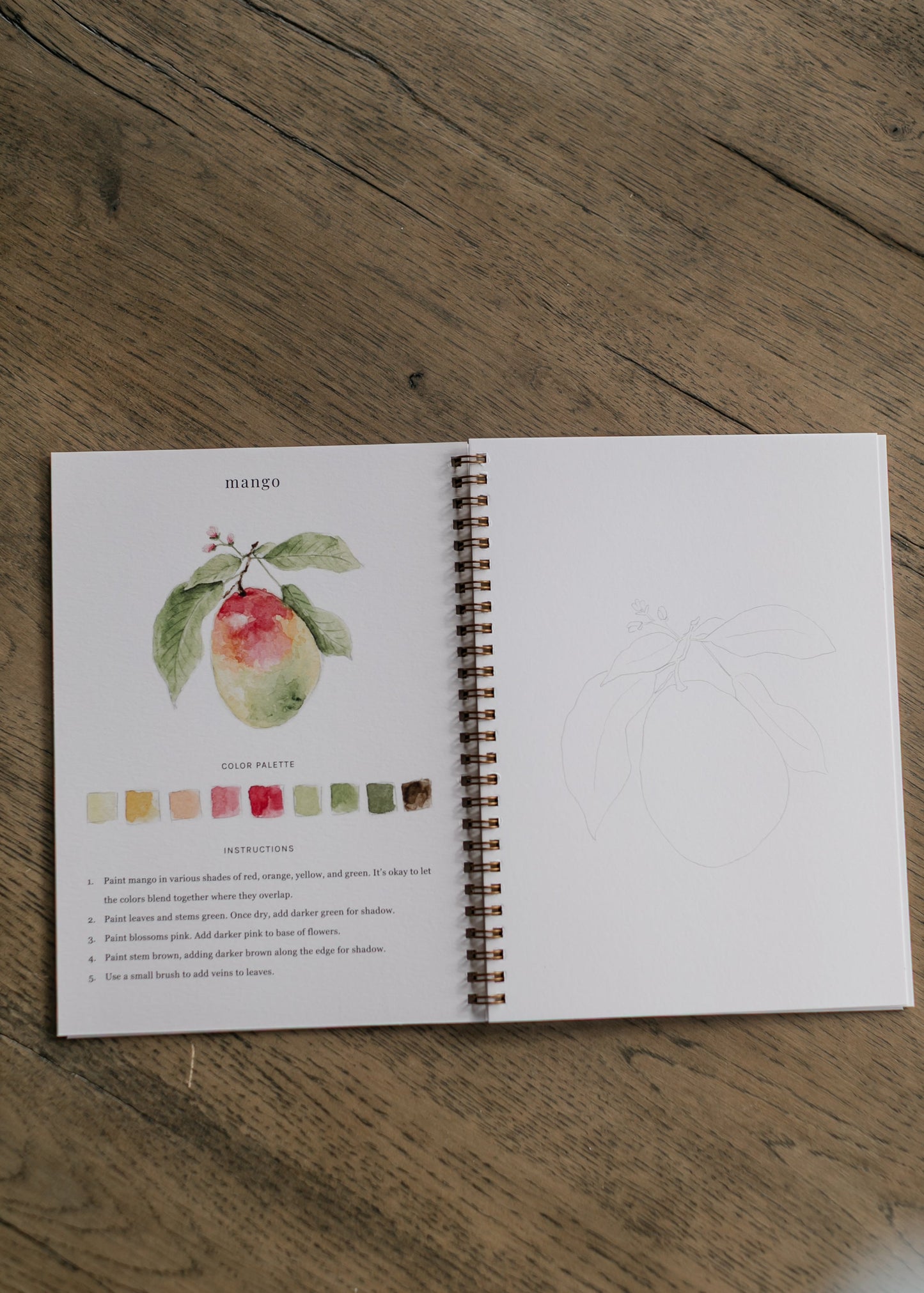 Emily Lex Studio Fruit Watercolor Workbook FF Home + Lifestyle