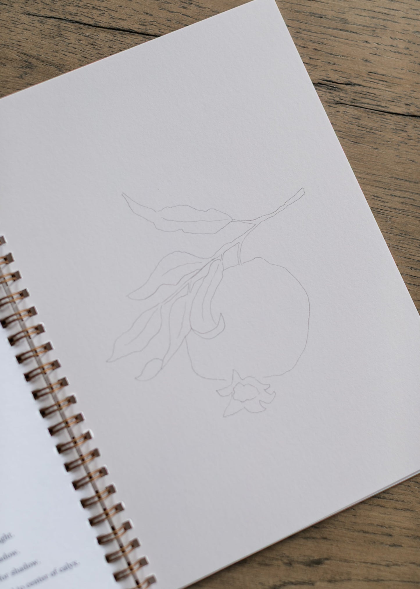 Emily Lex Studio Fruit Watercolor Workbook FF Home + Lifestyle