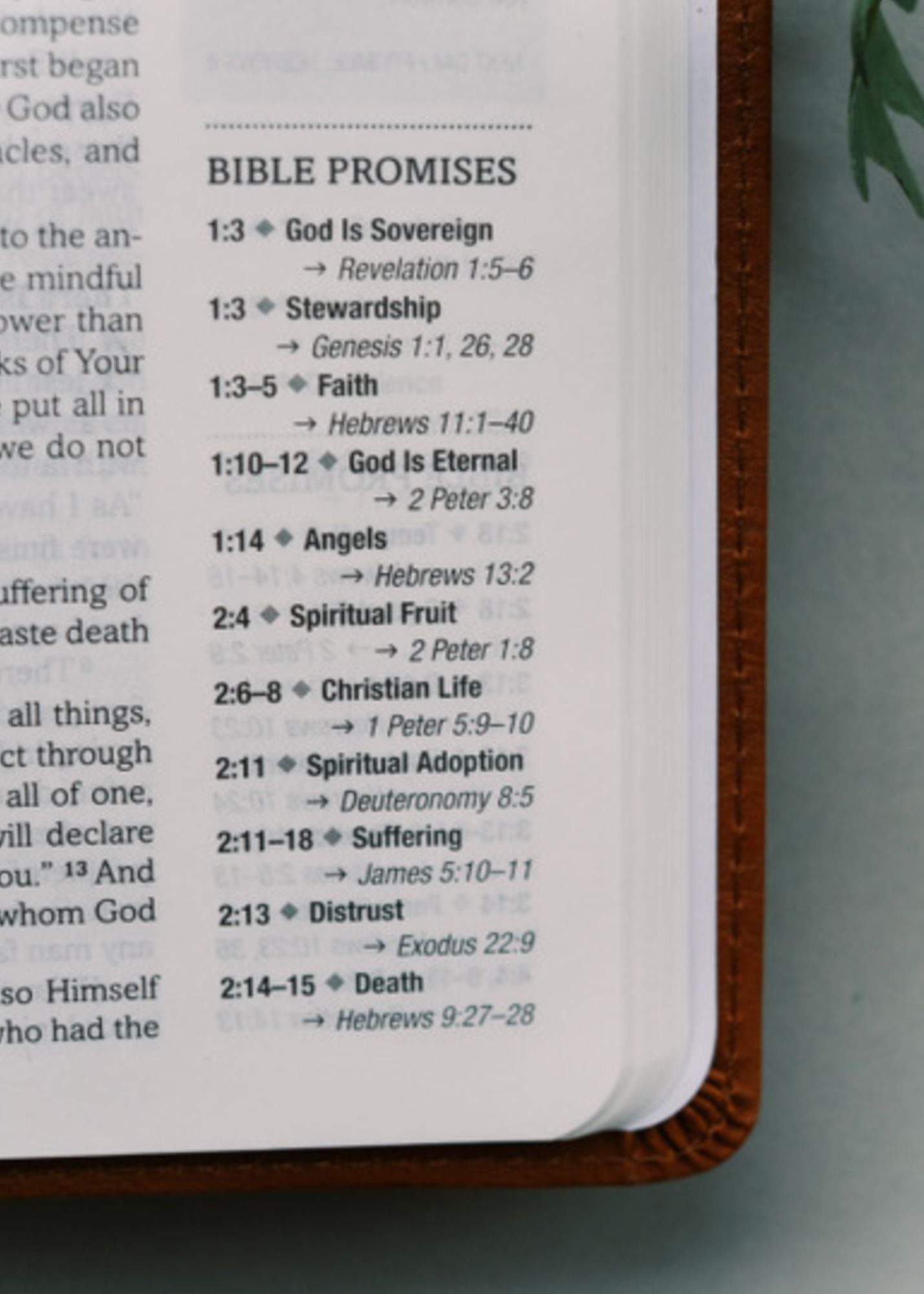 Floral Simplified KJV Study Bible Gifts