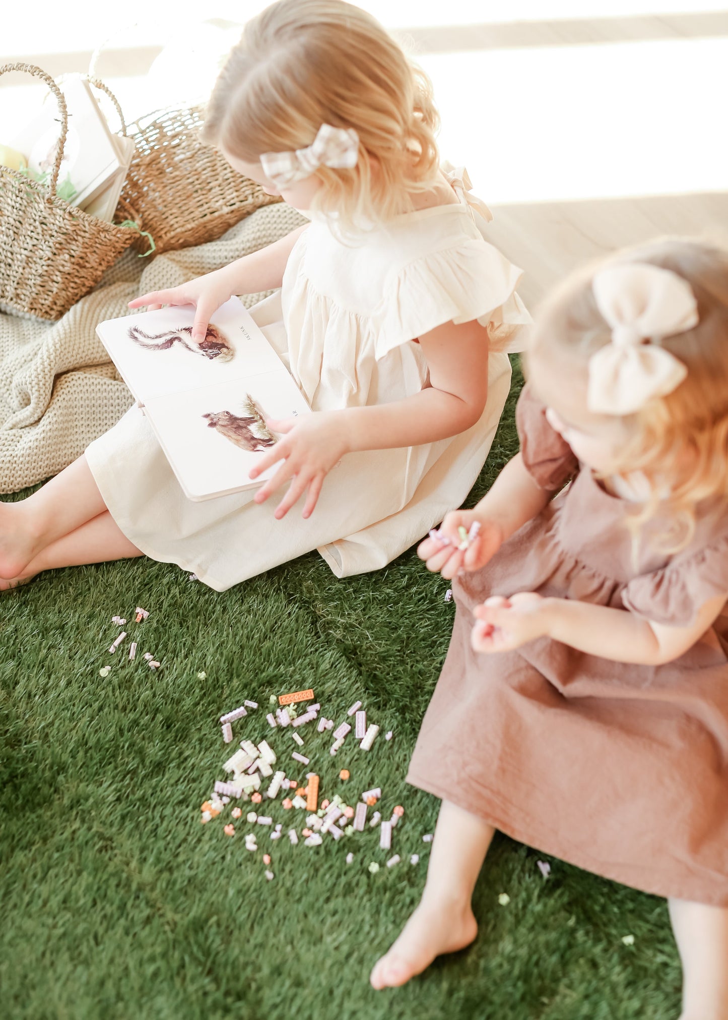 Flower + Plant Building Block Set – DIY Brick Kit Gifts