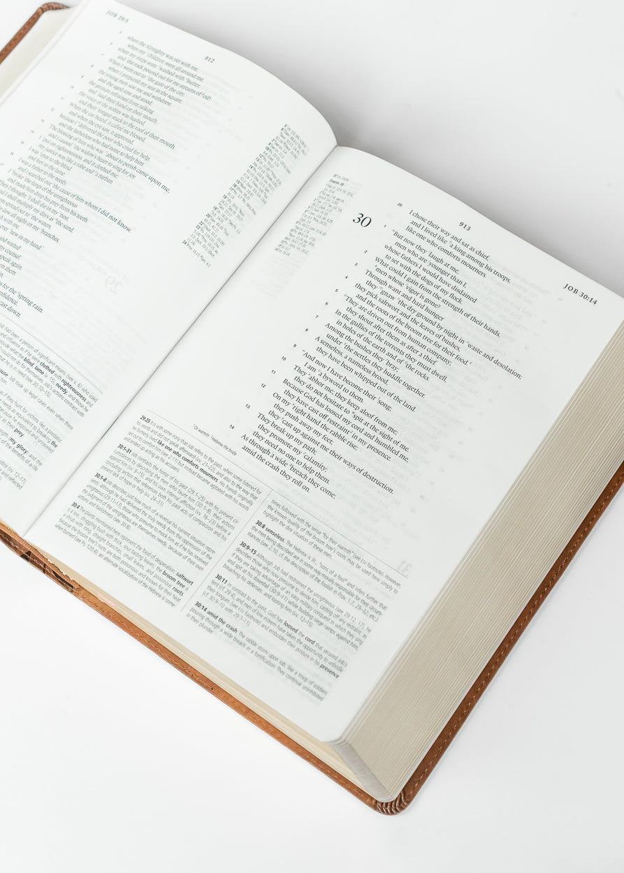 Hosanna Revival ESV Study Bible Aurora Theme Gifts