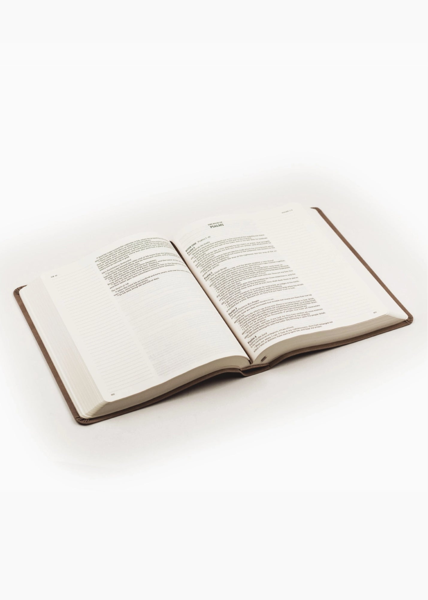 Hosanna Revival KJV Large Print Notetaking Bible Marlo Theme Gifts