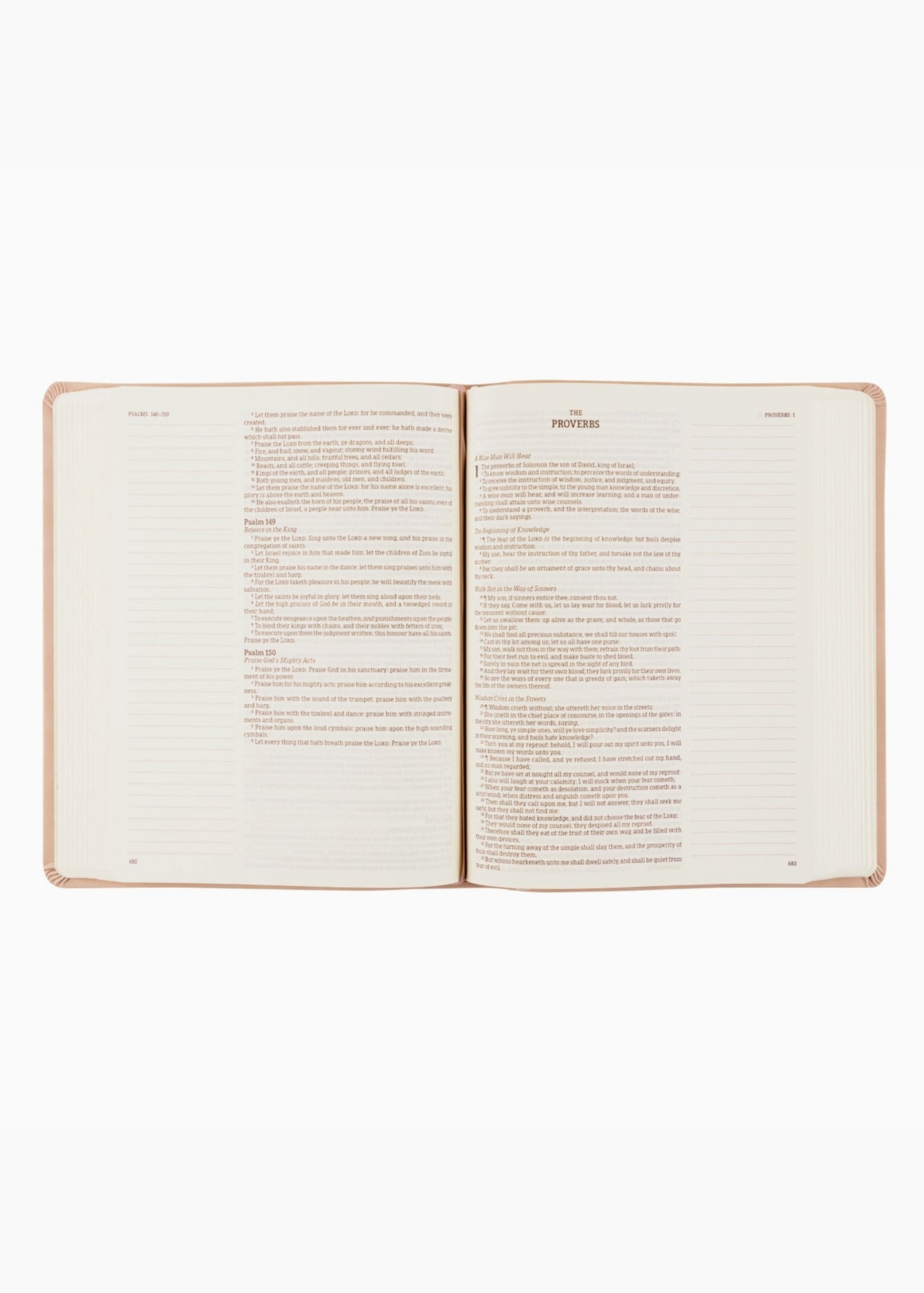 Hosanna Revival KJV Large Print Notetaking Bible Shiloh Theme Gifts