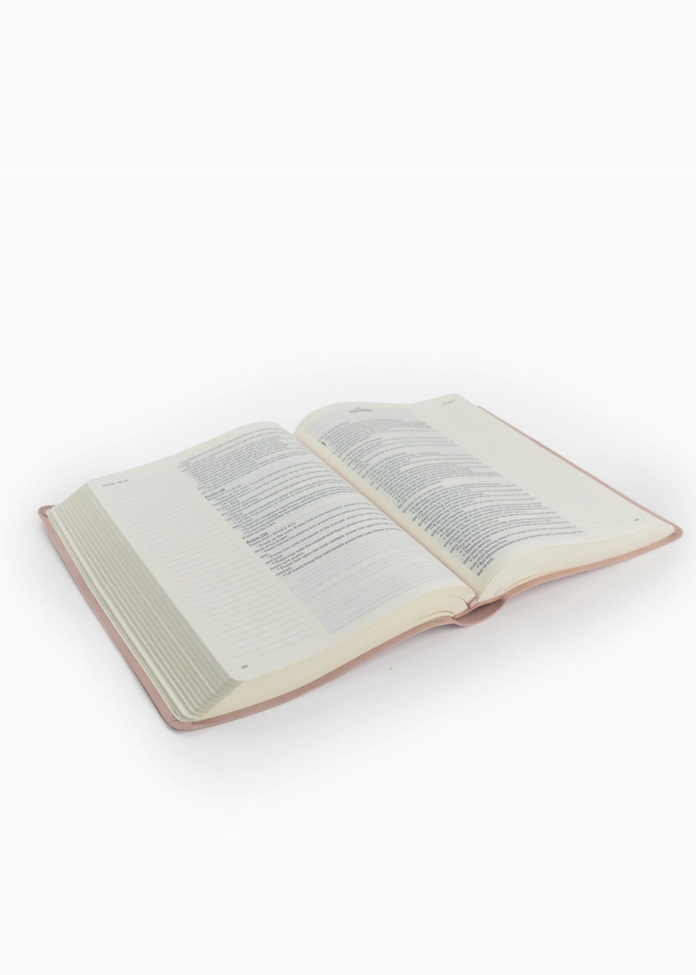 Hosanna Revival KJV Large Print Notetaking Bible Shiloh Theme Gifts
