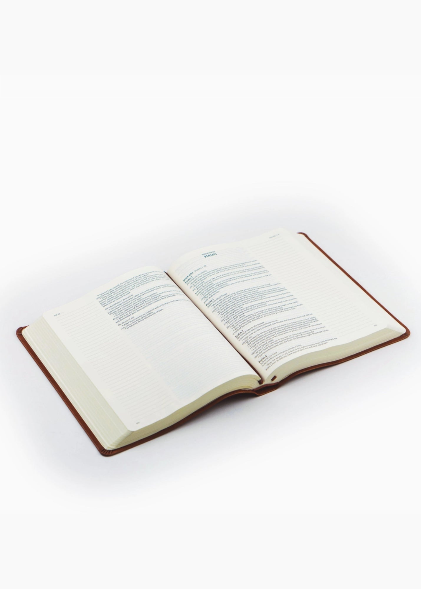 Hosanna Revival KJV Large Print Notetaking Bible Vienna Theme Gifts