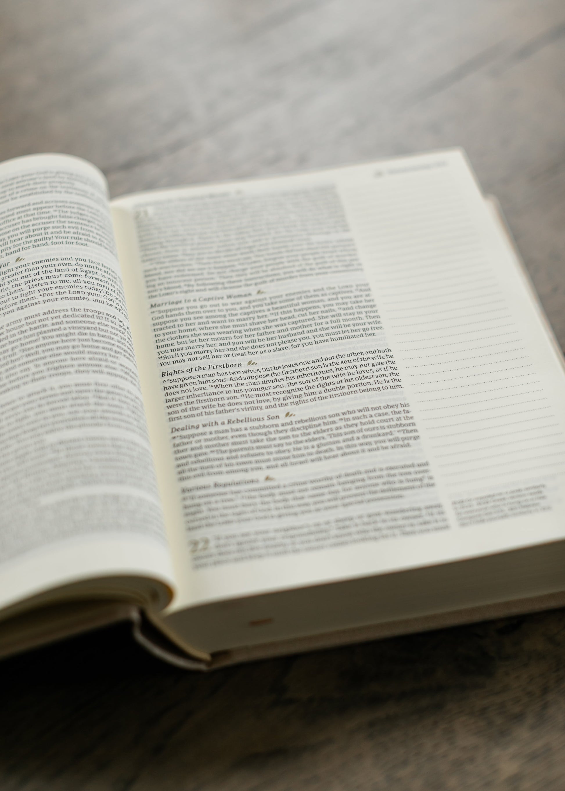 Hosanna Revival NLT Notetaking Bible Cordova Theme Gifts