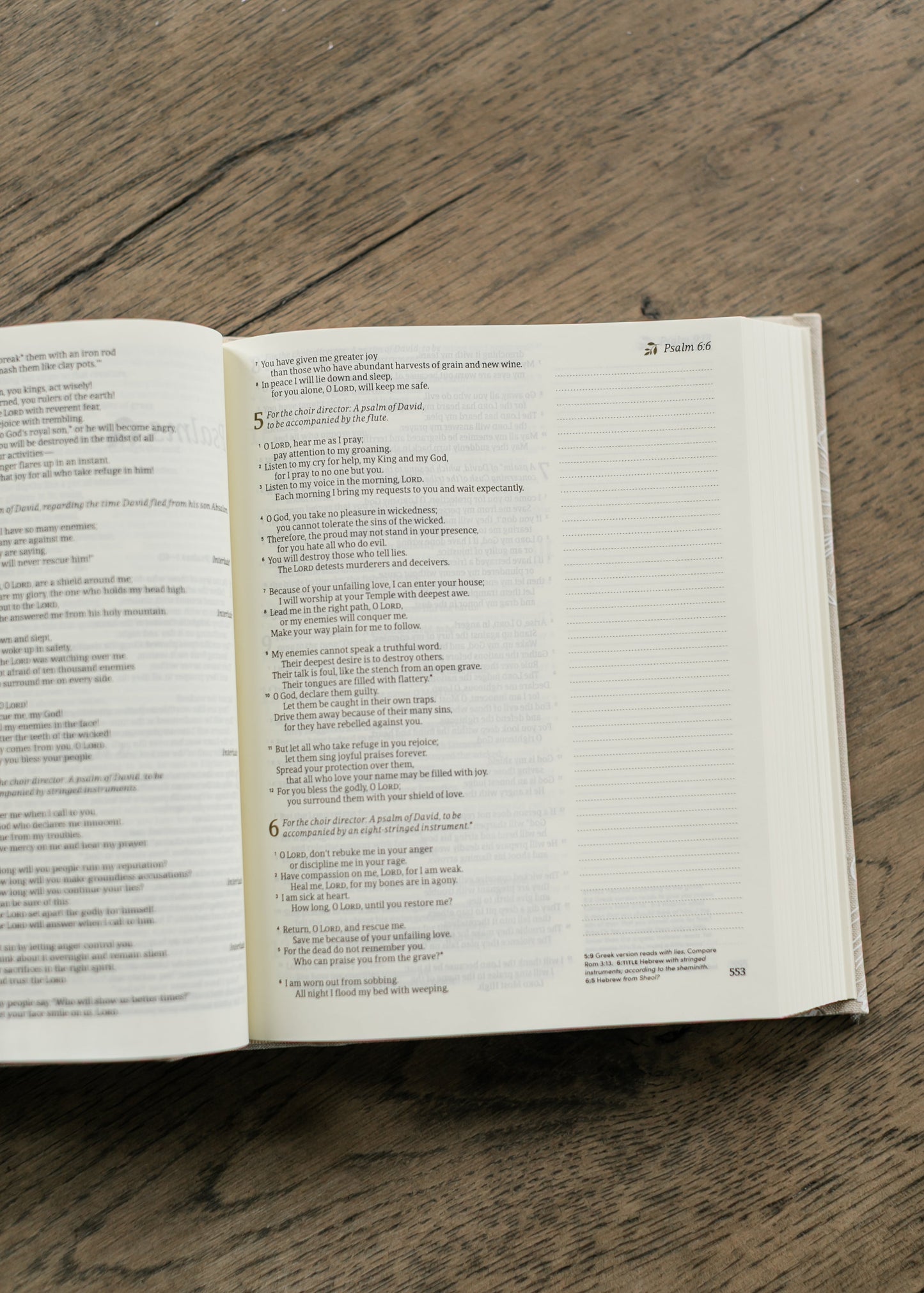 Hosanna Revival NLT Notetaking Bible Cordova Theme Gifts