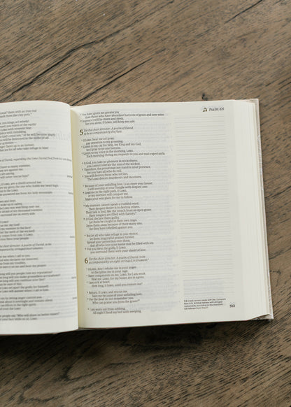 Hosanna Revival NLT Notetaking Bible Cordova Theme Gifts