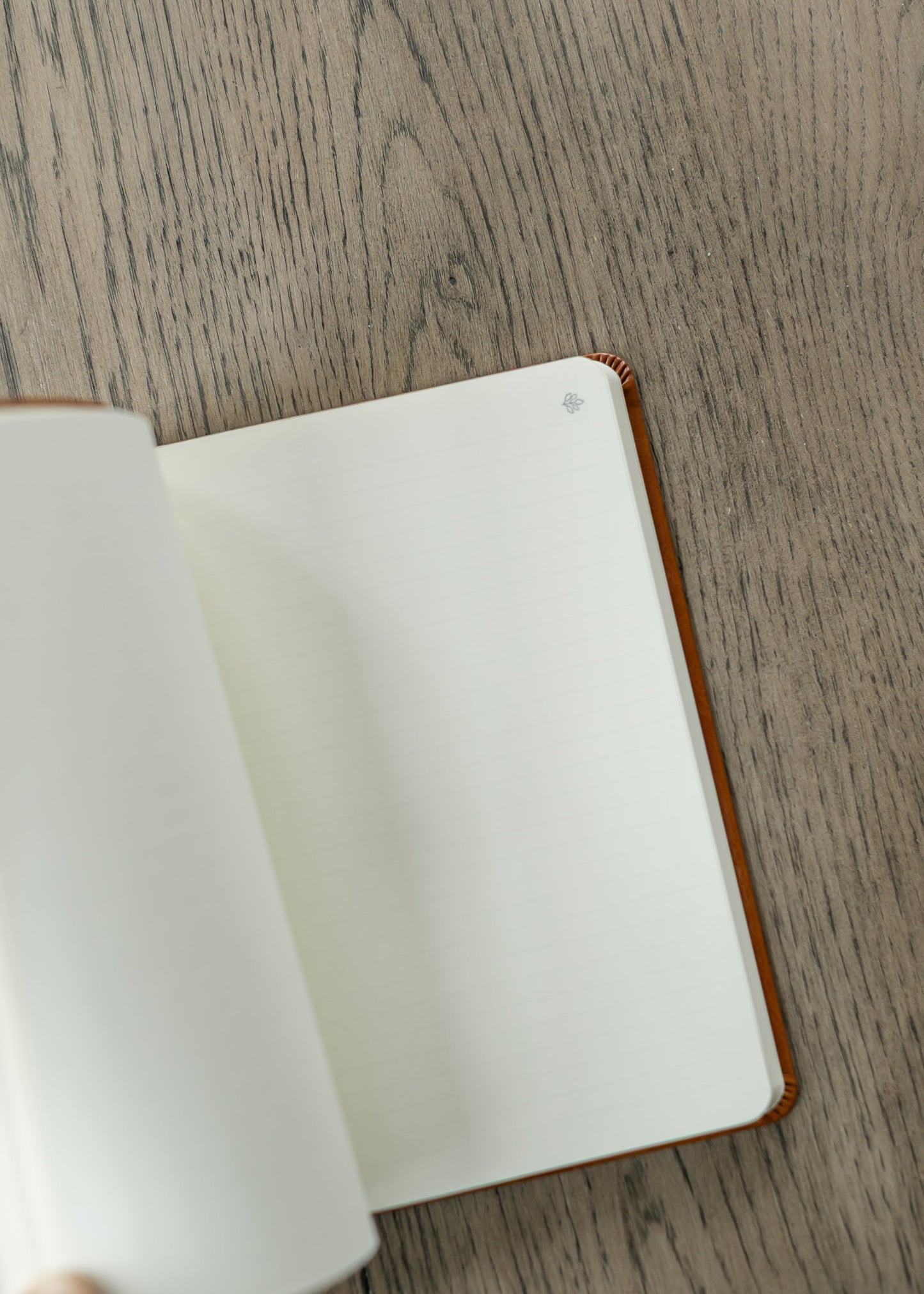 Hosanna Revival Notebook Vienna Theme Gifts