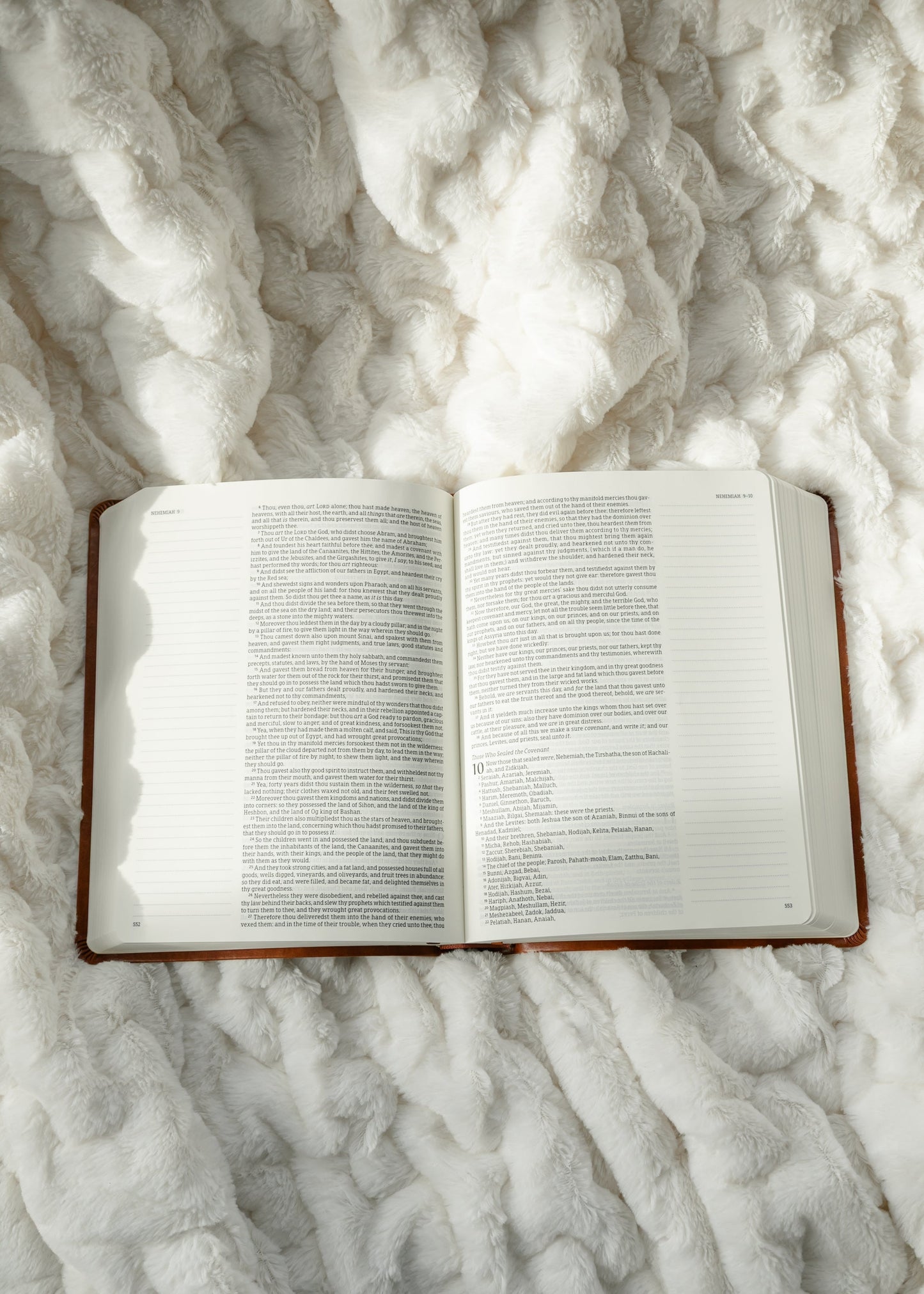 KJV Large Print Notetaking Bible Vienna Theme Gifts Brown