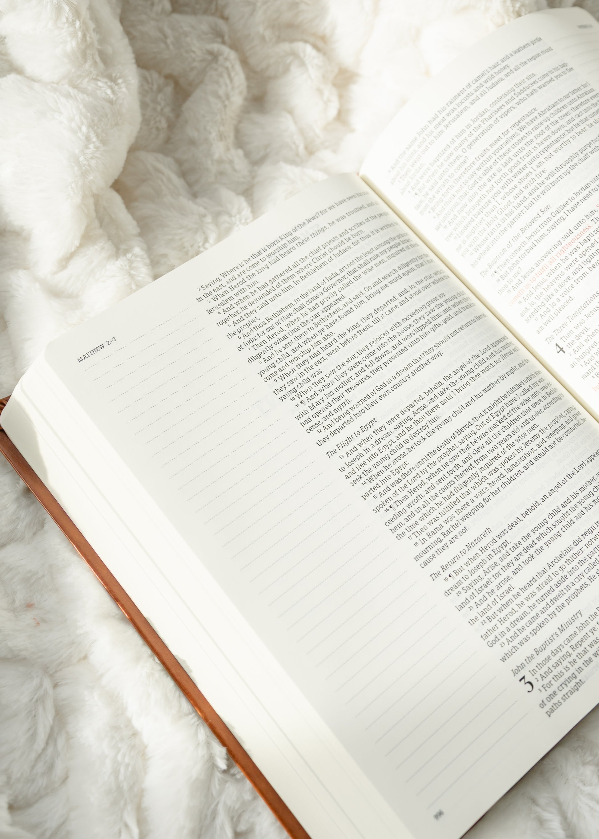 KJV Large Print Notetaking Bible Vienna Theme Gifts Brown