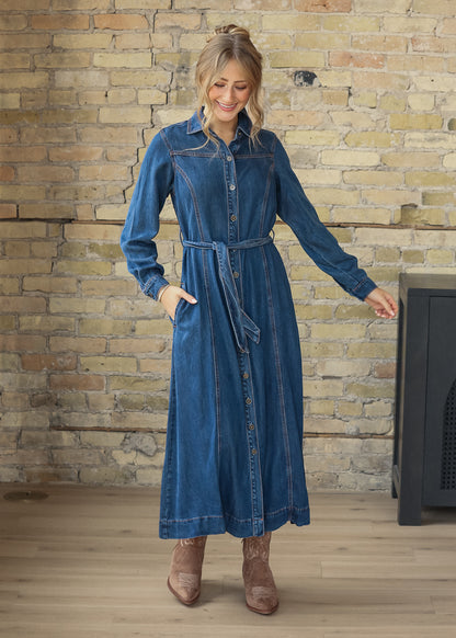 Laramie Denim Maxi Dress FF Dresses