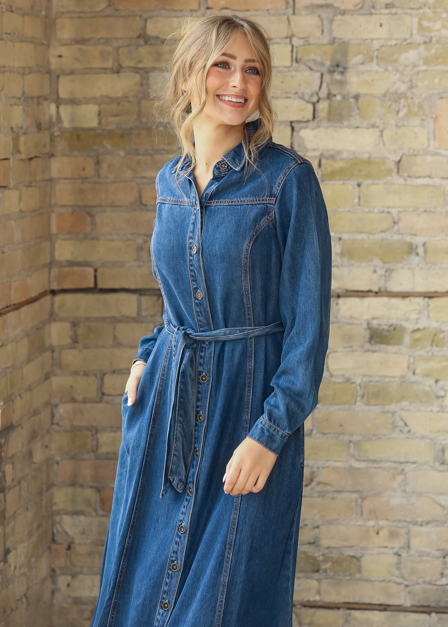 Laramie Denim Maxi Dress FF Dresses